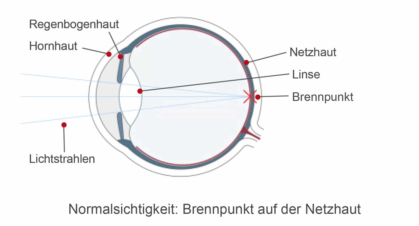 Normalsichtigkeit