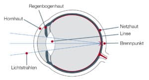 Normalsichtiges Auge