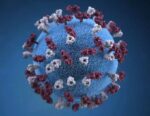 Covid 19 Coronavirus