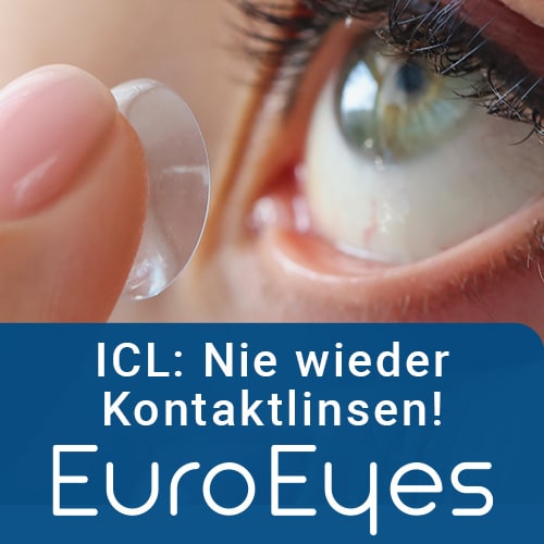 seitenteaser-icl.jpg